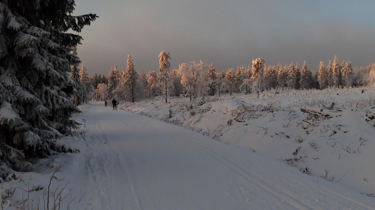 20211212_080836_resized 20211212_080836_resized